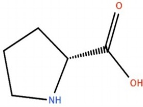 D-脯氨酸 D-Proline 344-25-2