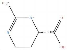 四氢嘧啶 ECTOINE 96702-03-3