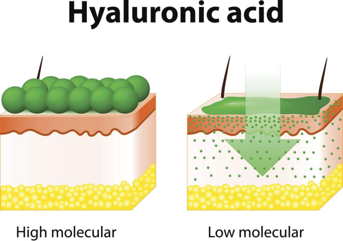 透明质酸隐藏的特殊性能
